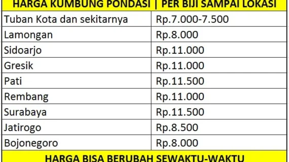Batu Kumbung Tuban Murah: Panduan Lengkap Harga & Tips