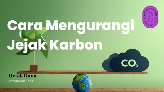 Strategi Mengurangi Jejak Karbon Pribadi: Panduan Praktis