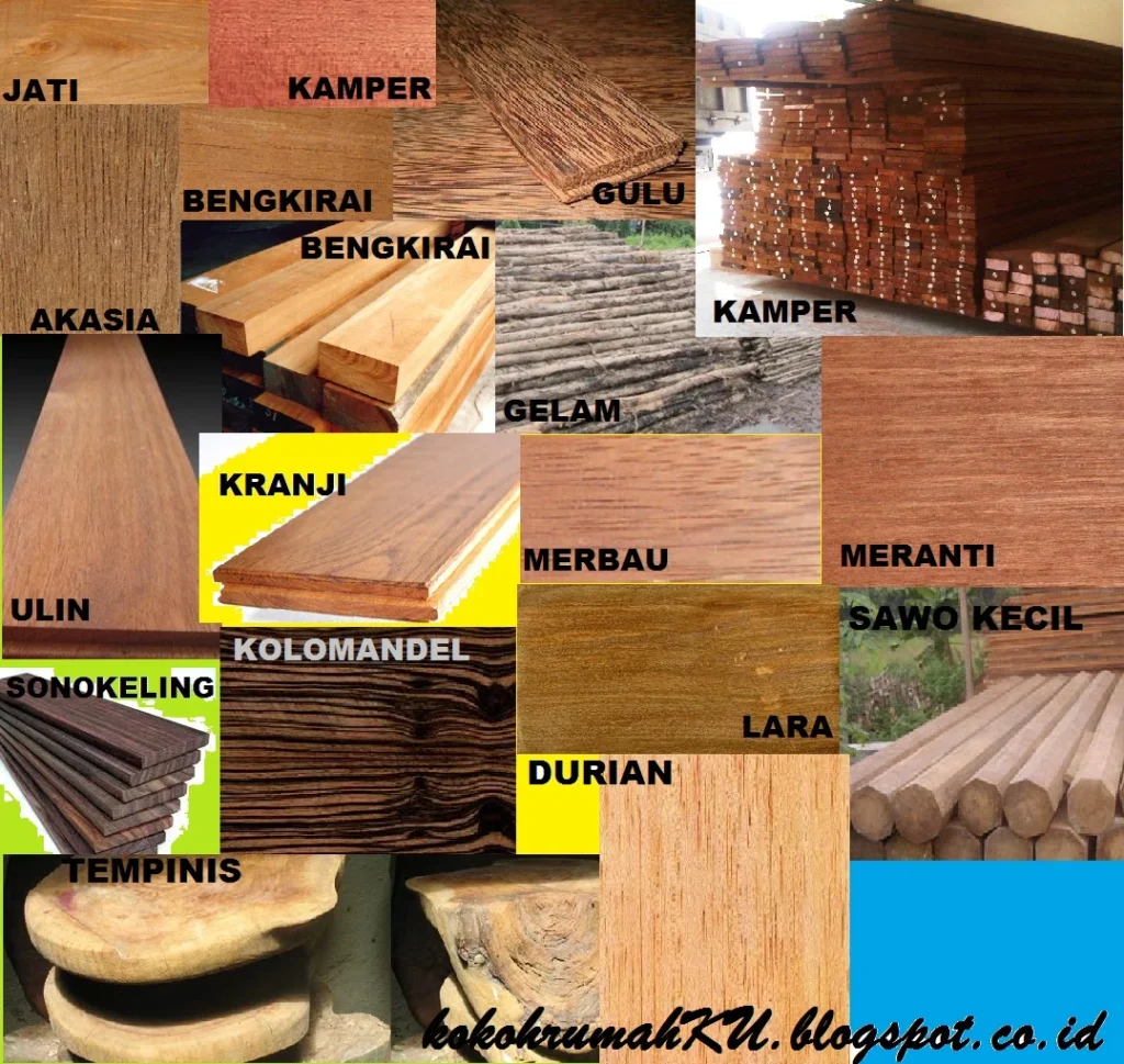 Gambar Jenis Jenis Kayu - 53+ Koleksi Gambar