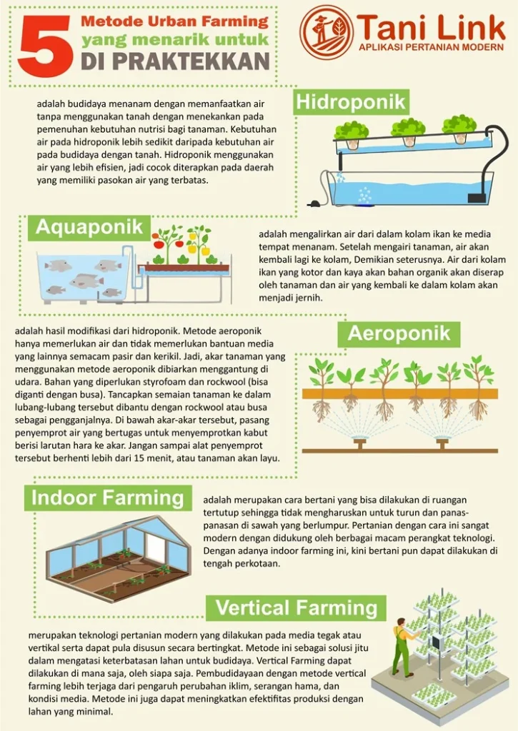 INFOGRAFIS: 5 Metode Urban Farming Yang Menarik Untuk Dipraktekan