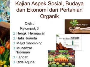 Kajian aspek sosial, budaya dan ekonomi dari pertanian organik | PPTX