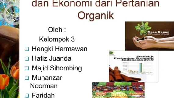 Penerapan pertanian organik di perkotaan: Panduan lengkap untuk kota hijau