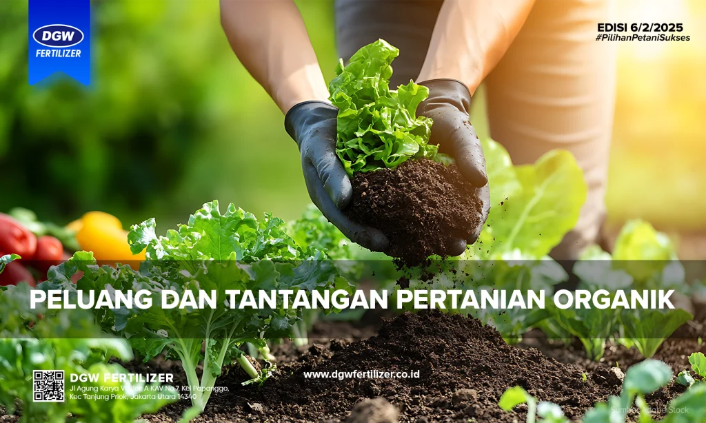 Peluang dan Tantangan Pertanian Organik - DGW Fertilizer